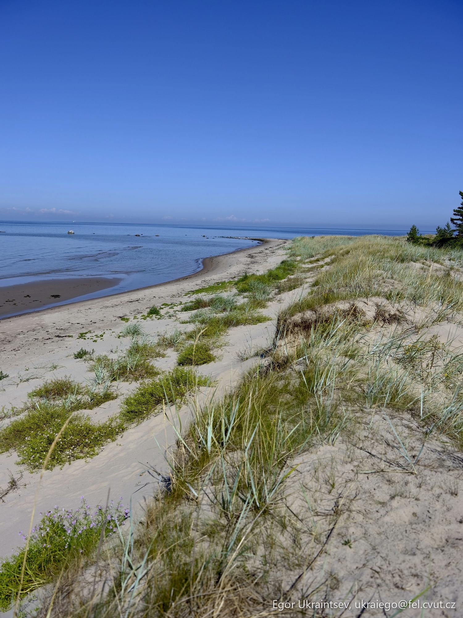 Sand dunes on the beach