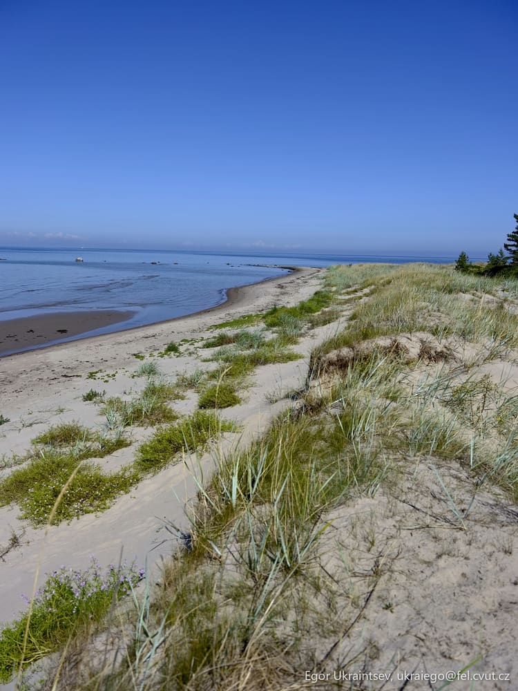 Sand dunes on the beach