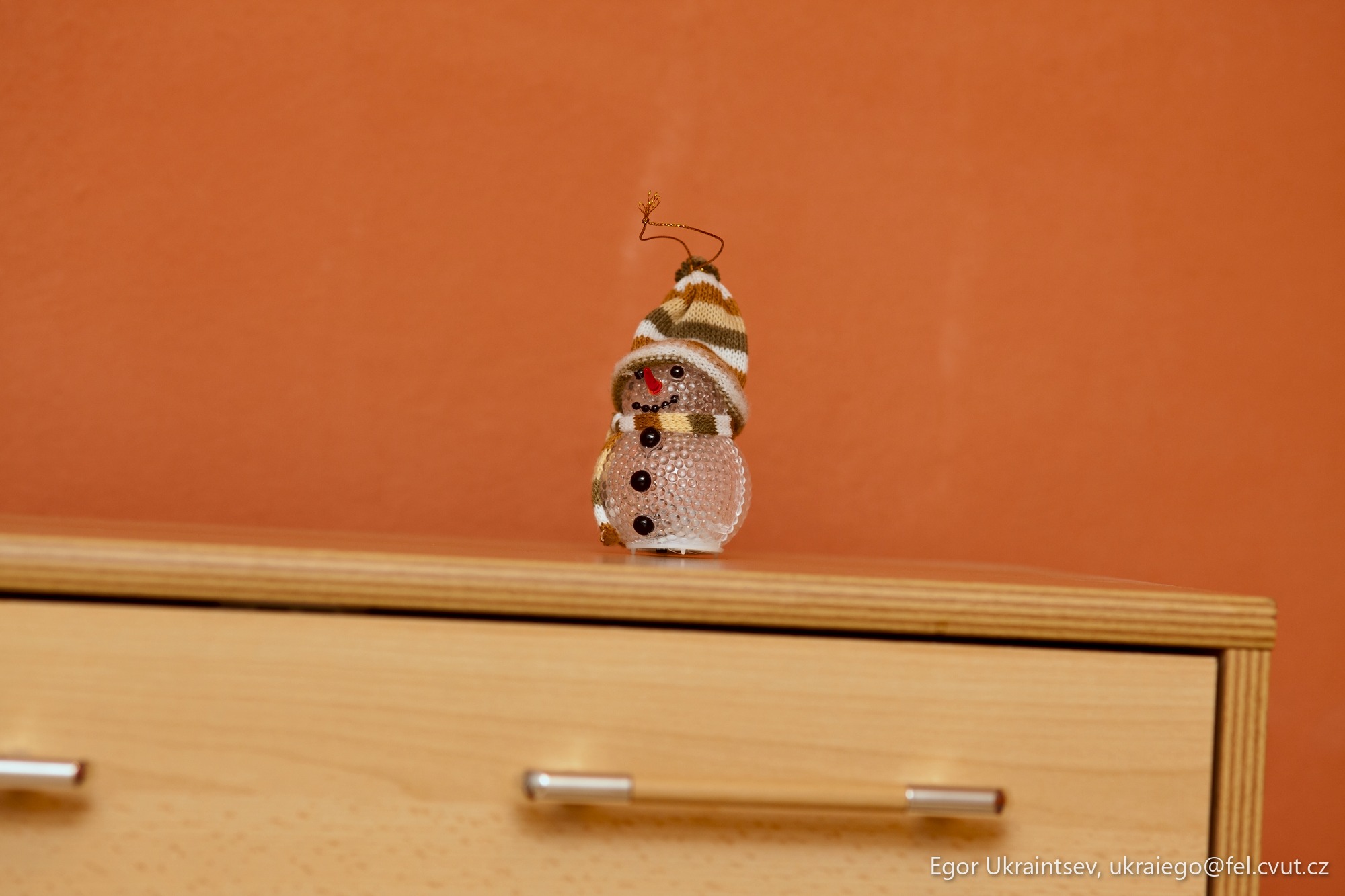 Bird on a dresser
