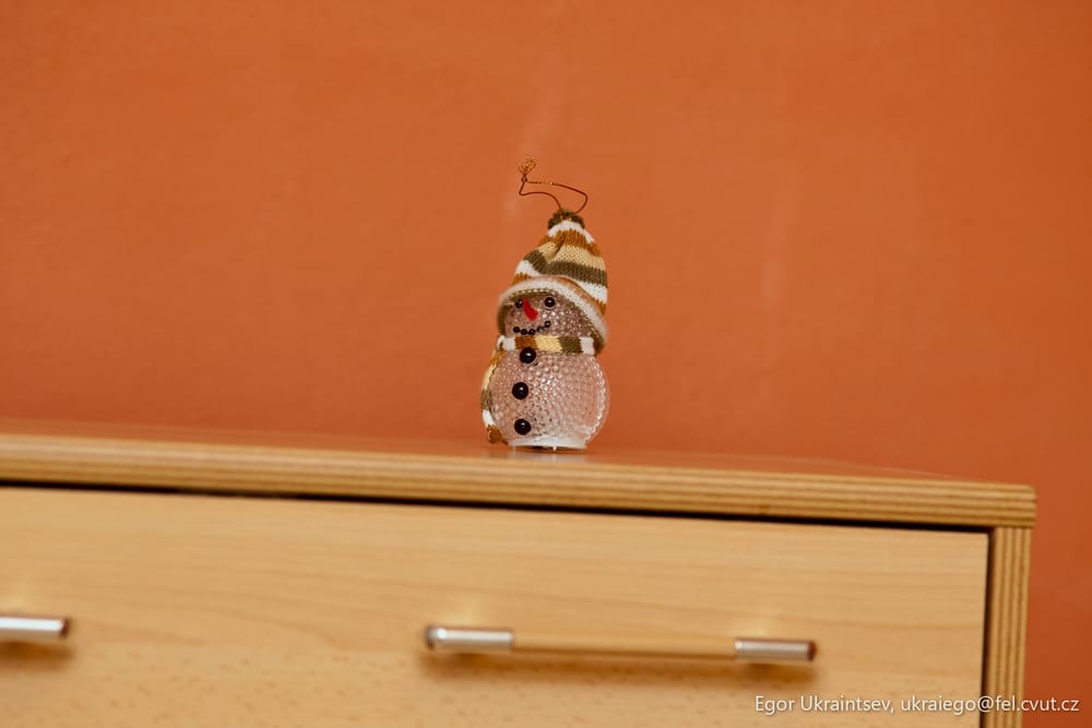 Bird on a dresser