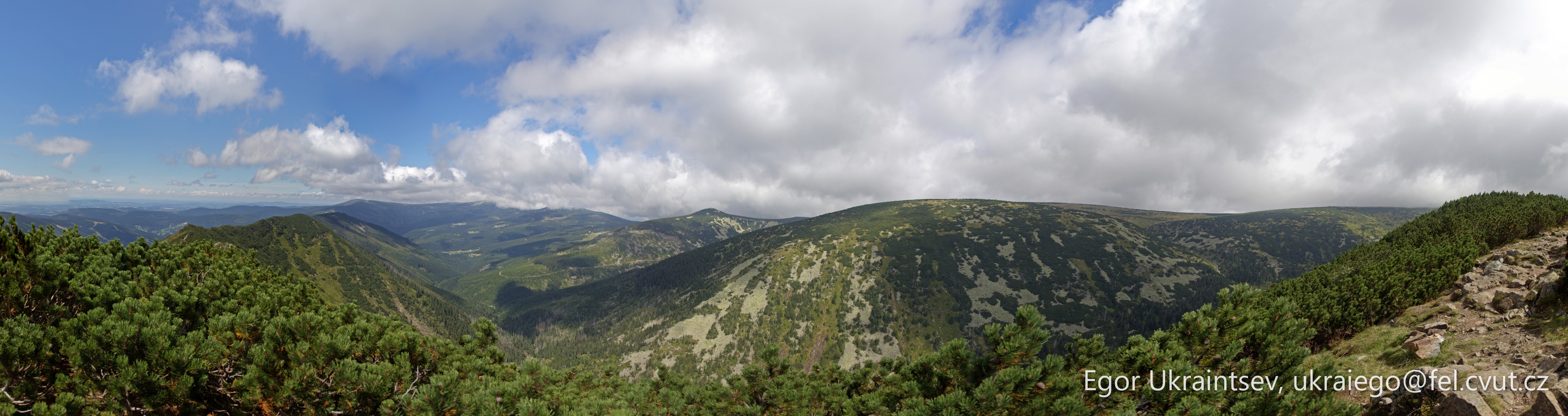 Mountains and trees
