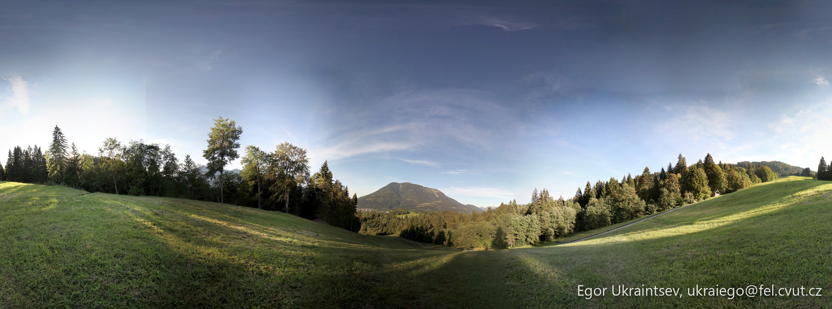 Grassy field with trees · Germany