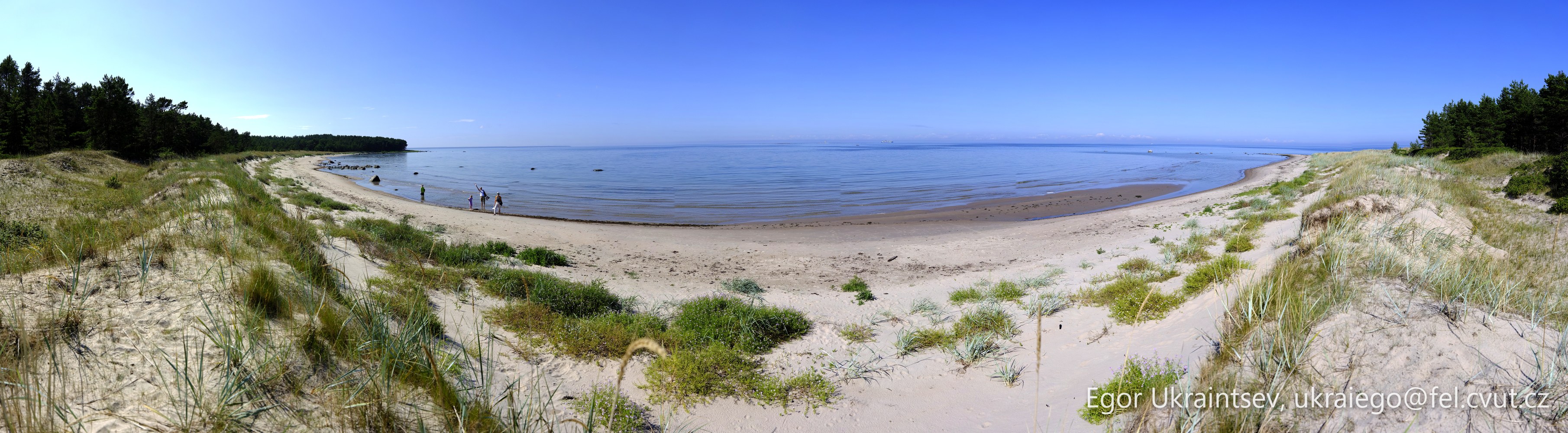 Sandy beach with grass · Tallin