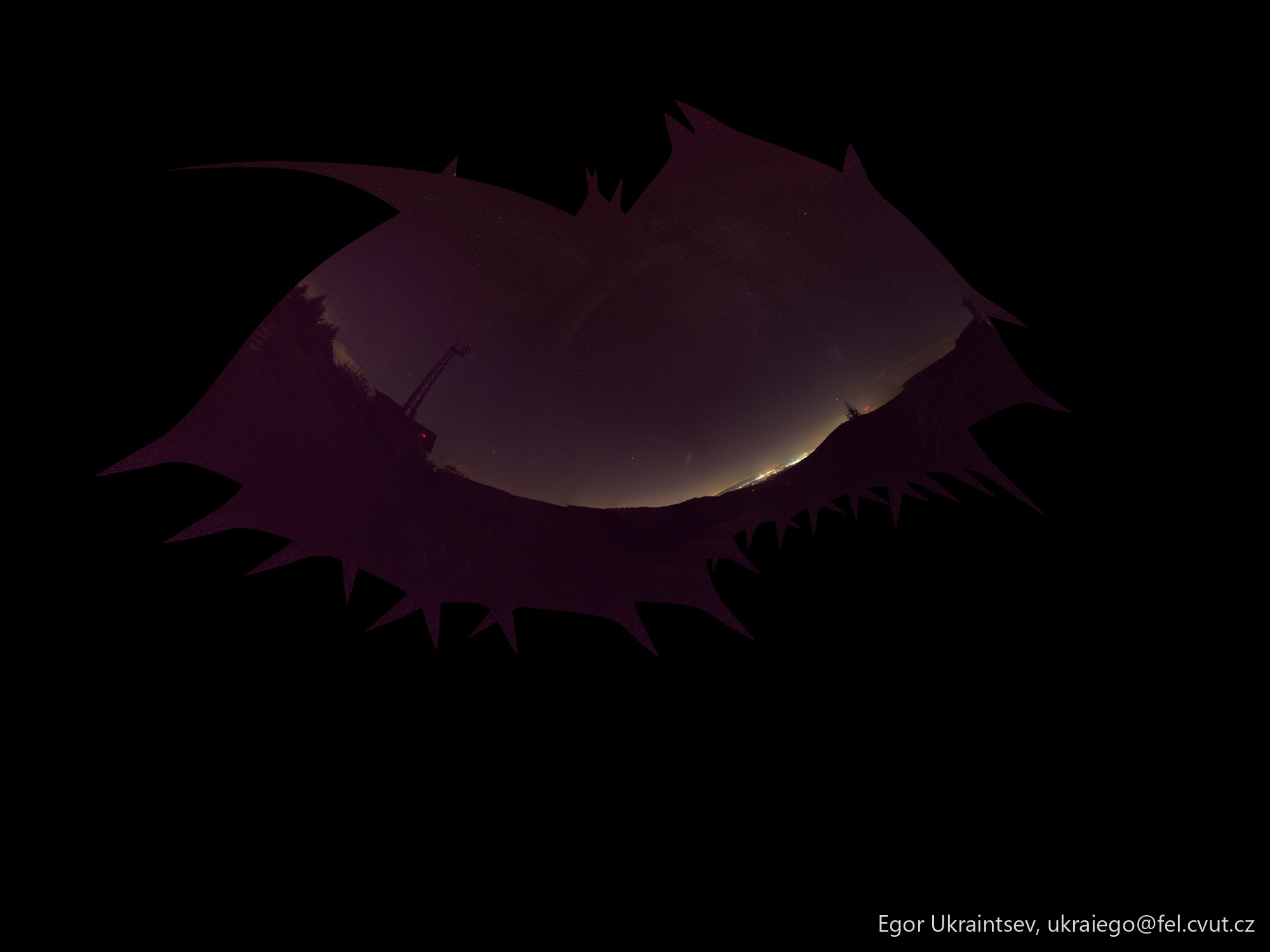 Bird flying in the night