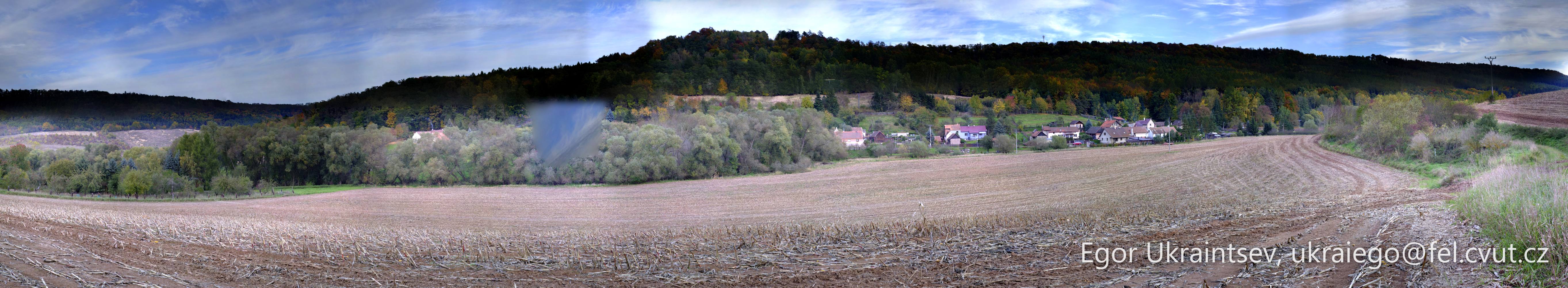 Dirt road with trees