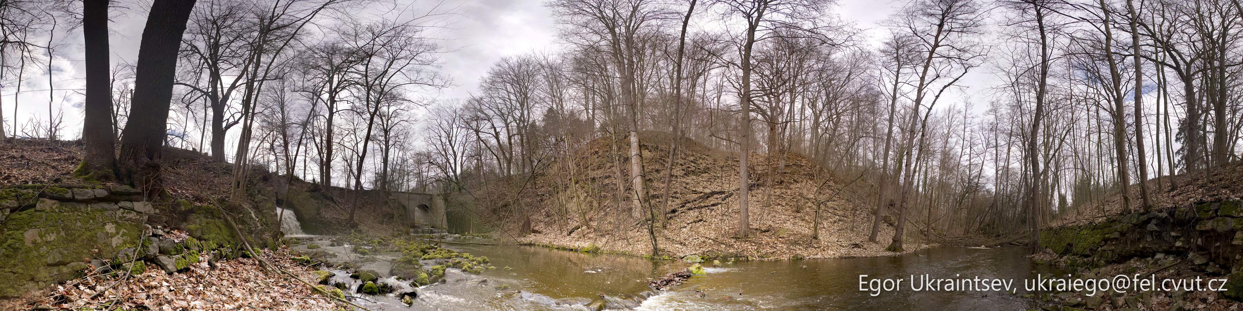 River in the woods