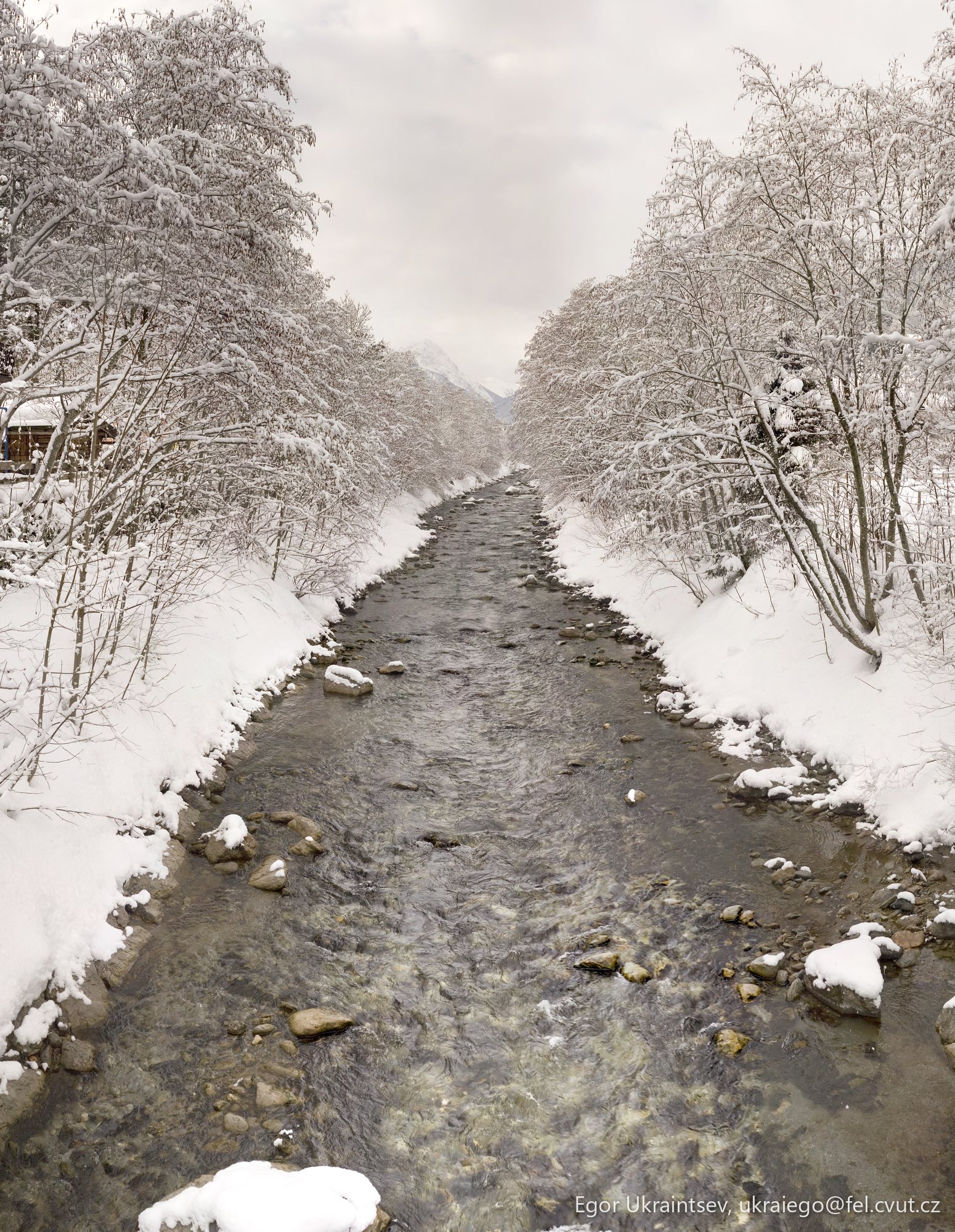 Stream in the snow