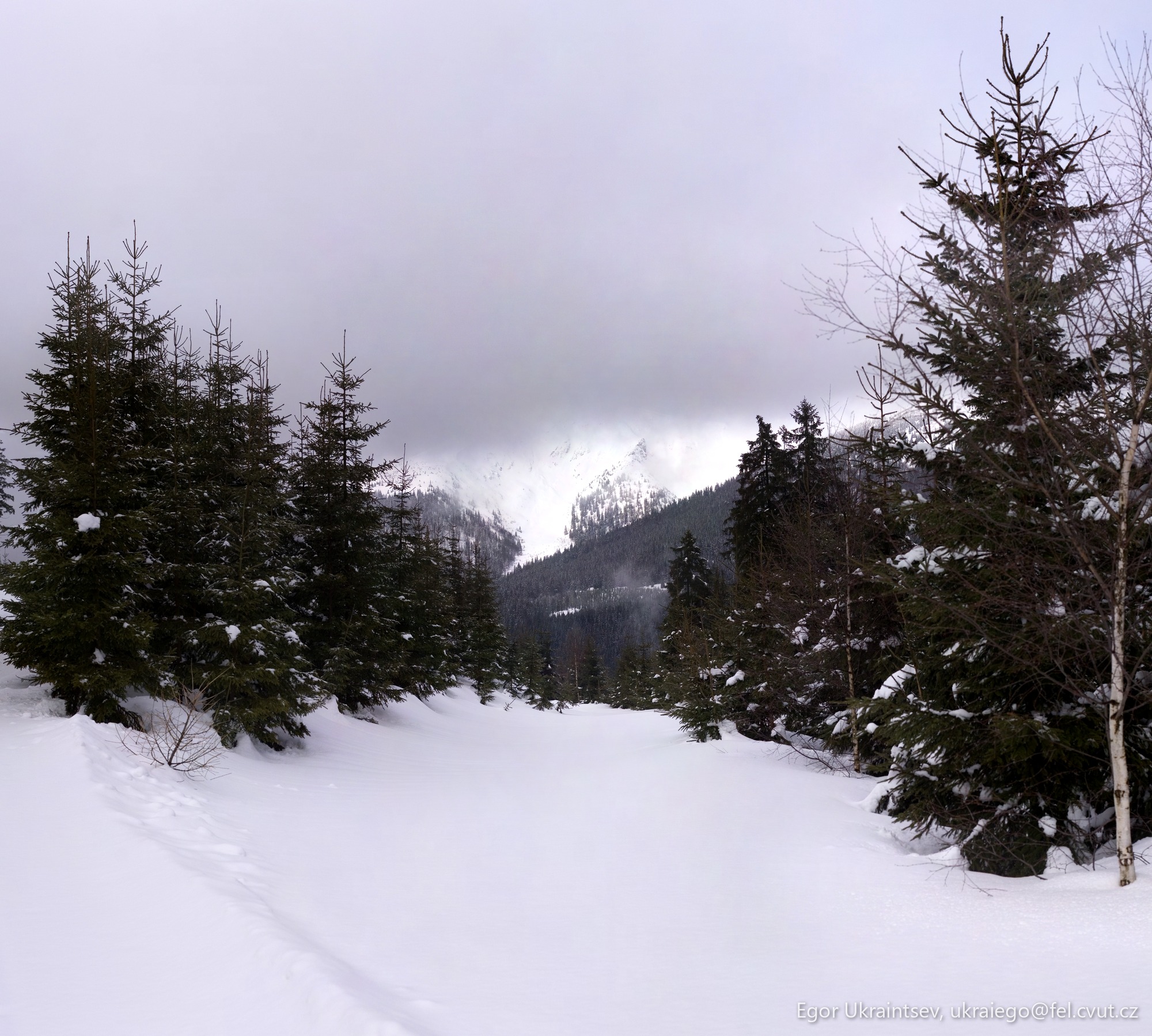Snow covered trail