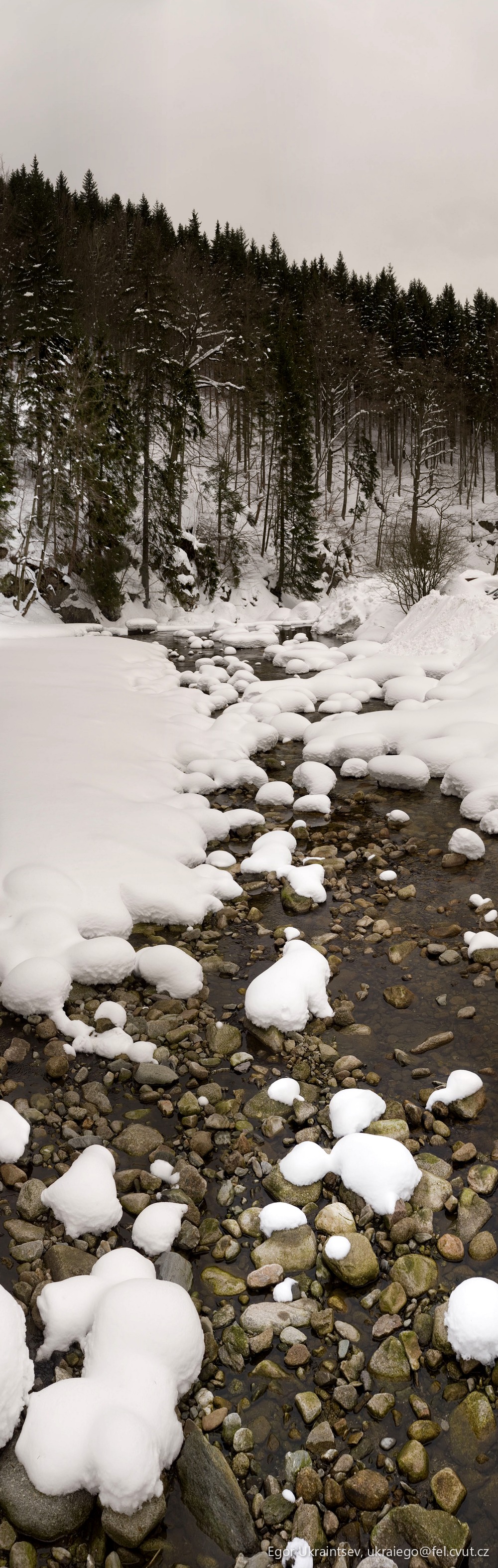 River in the winter
