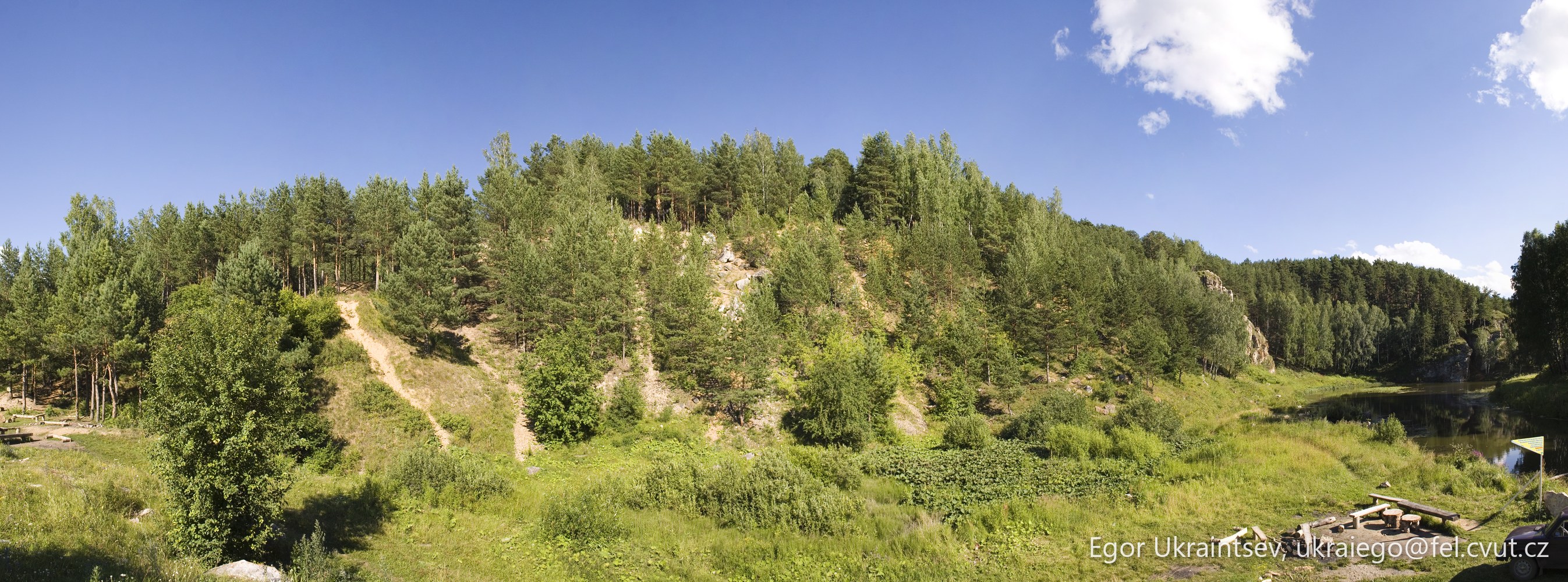 Forest with a blue sky