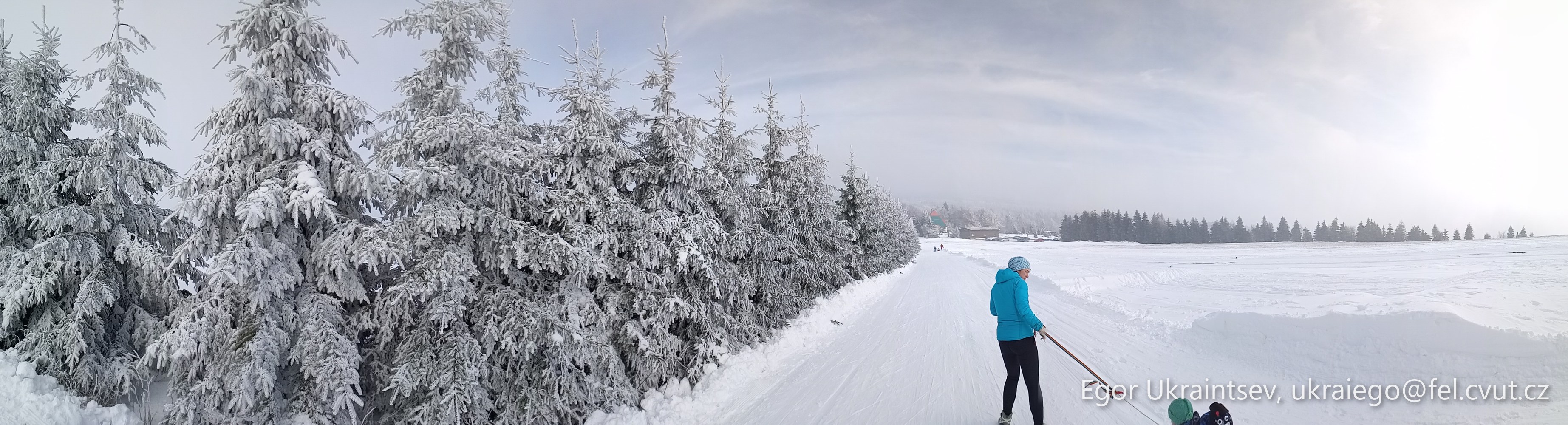 Person cross country skiing · P033 Phone 2020 02