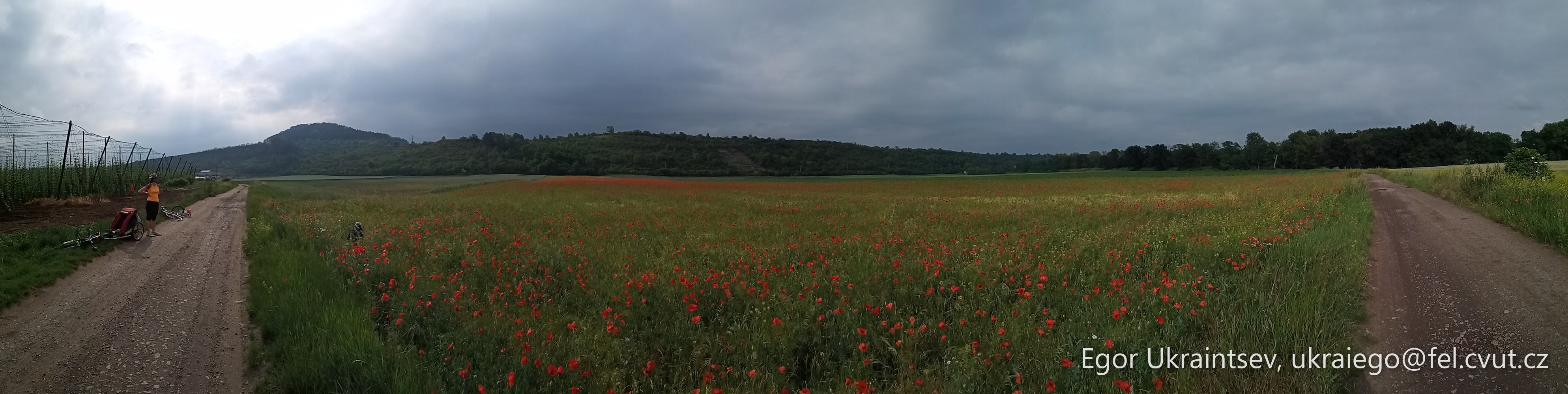 Woman walking through a field · P037 Phone 2020 06
