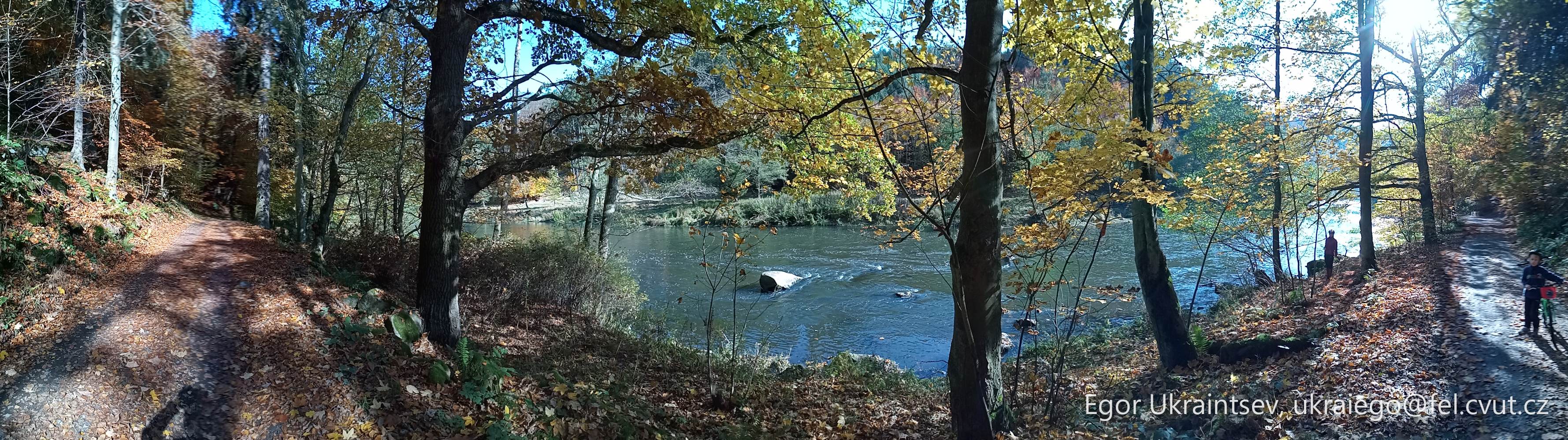 River running through a wooded · P045 Phone 2020 10