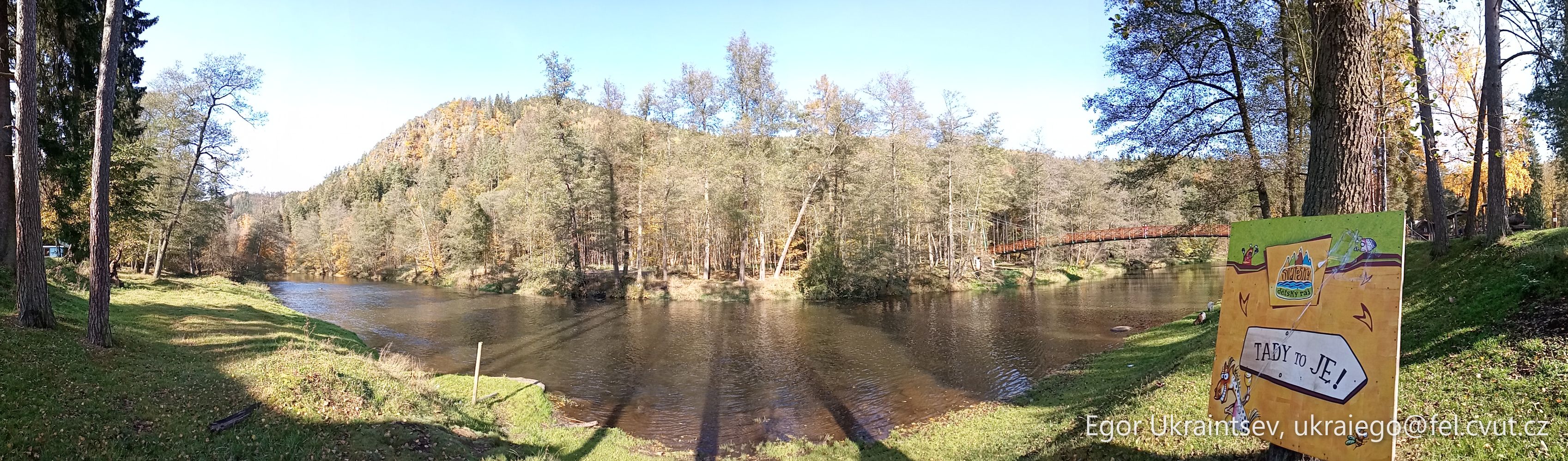 River in the forest · P046 Phone 2020 10