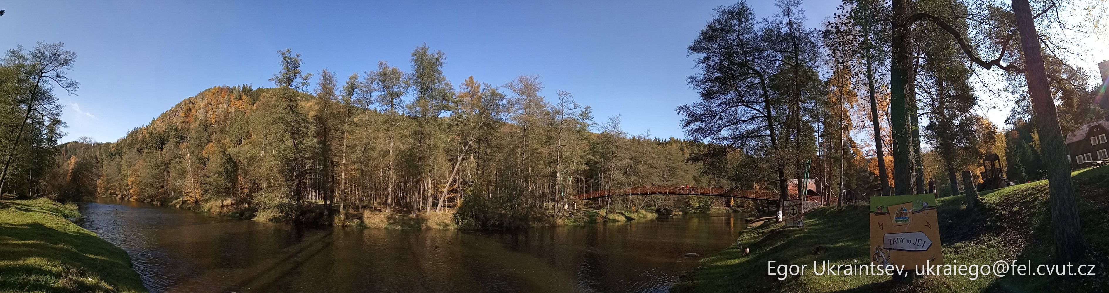 River in the forest · P046 Phone 2020 10
