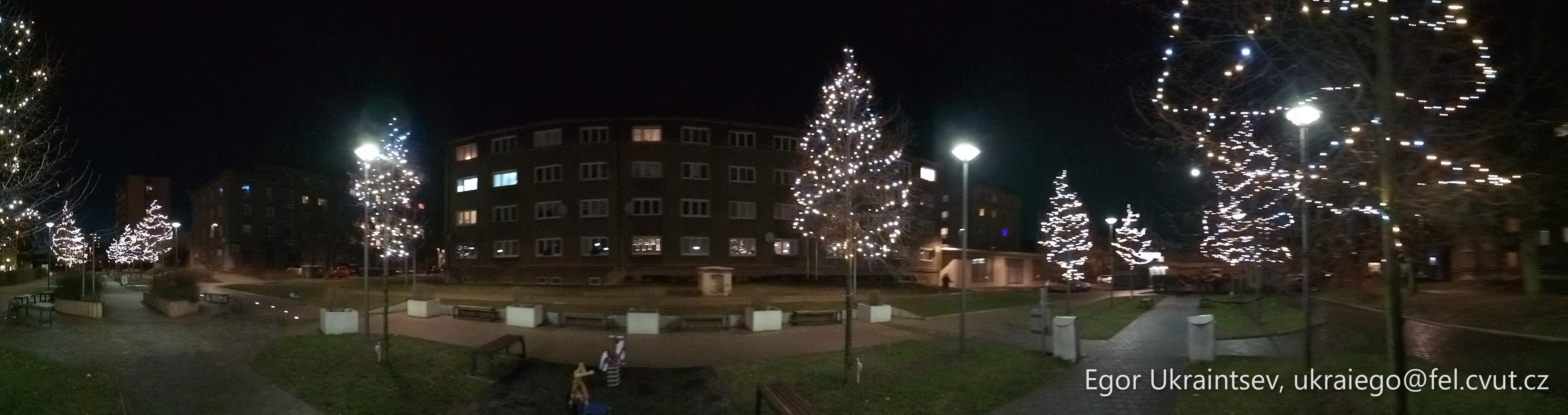 Christmas lights in a park · P054 Phone 2020 12
