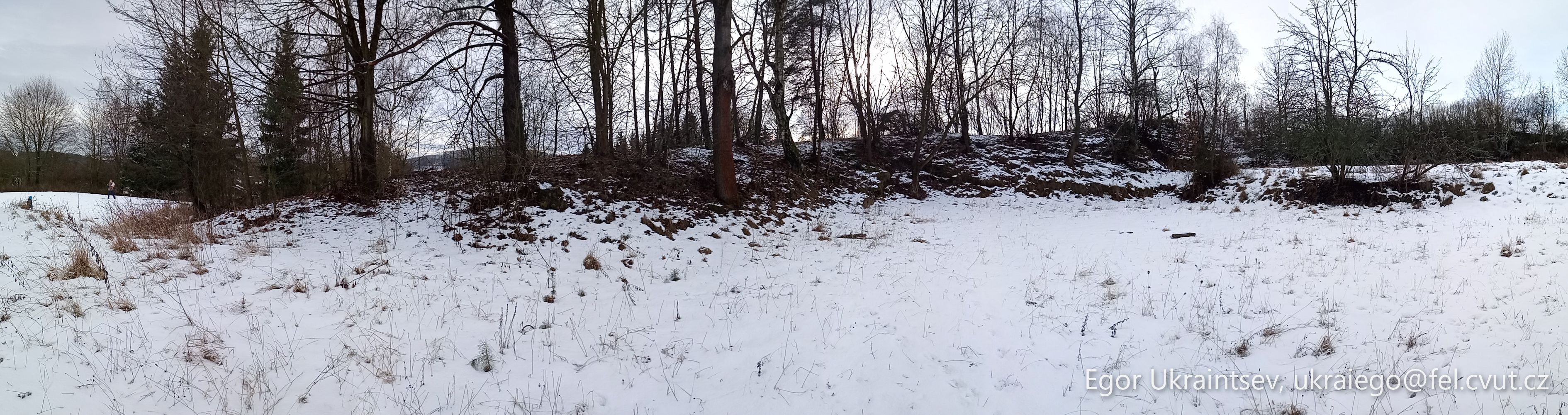 Snow covered field with trees · P056 Phone 2021 01
