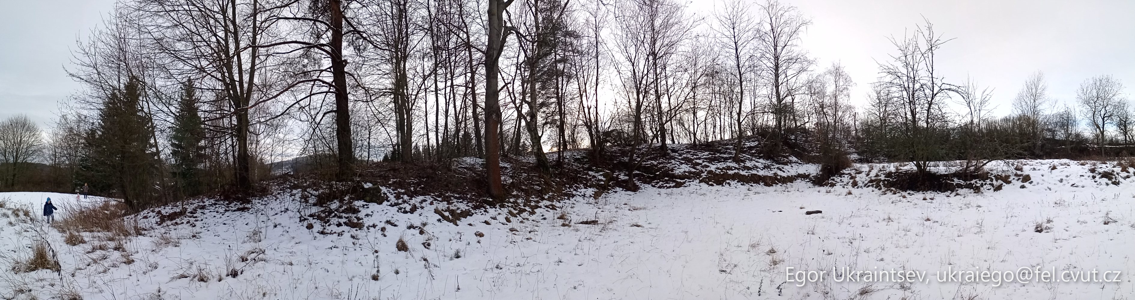 Trees in the snow · P056 Phone 2021 01