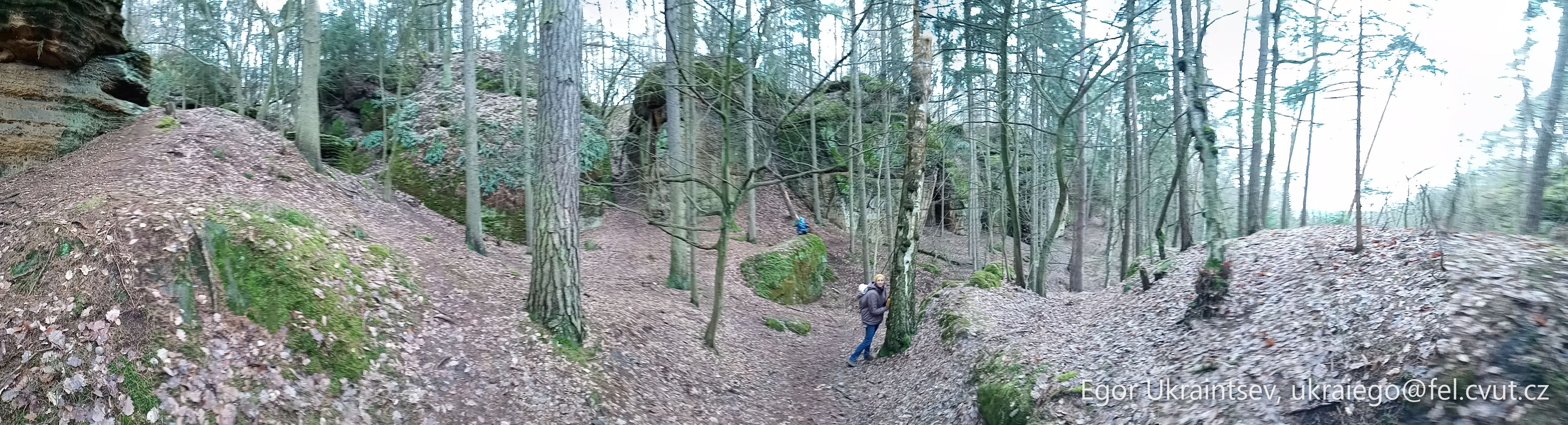Man hiking in the forest · P058 Phone 2021 02